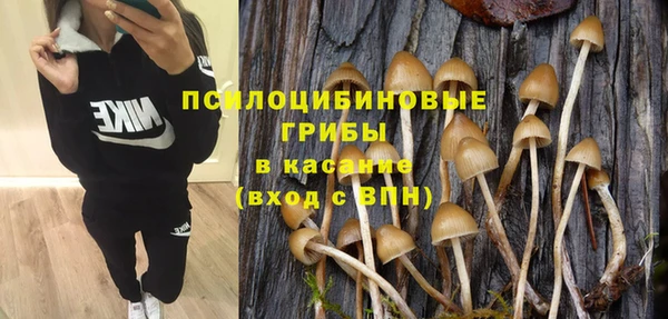 apvp Арсеньев