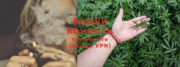 apvp Арсеньев