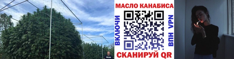 Купить где Гороховец Дистиллят ТГК вейп с тгк