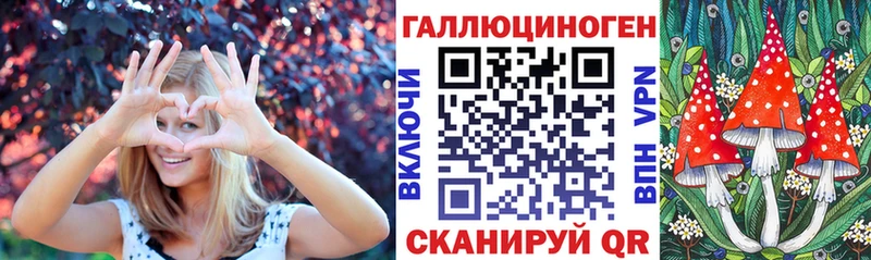 Купить  Гороховец  Галлюциногенные грибы GOLDEN TEACHER 
